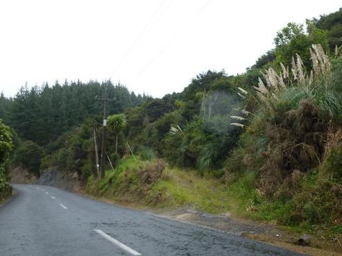 170 Port Waikato-waikaretu Road, Port Waikato
