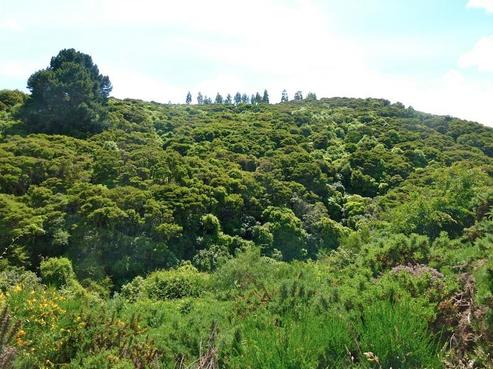 58 Chain Hills Road, Chain Hills