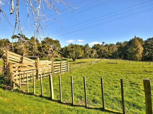 6 Hall Lane, Kaipara Flats