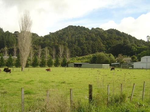 48 Tangihua Road, Maungakaramea