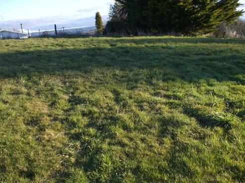 8 Kowhai Way, Ohakune