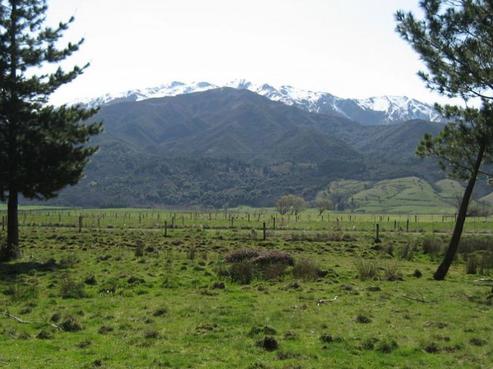369 Woodbank Road, Hanmer Springs