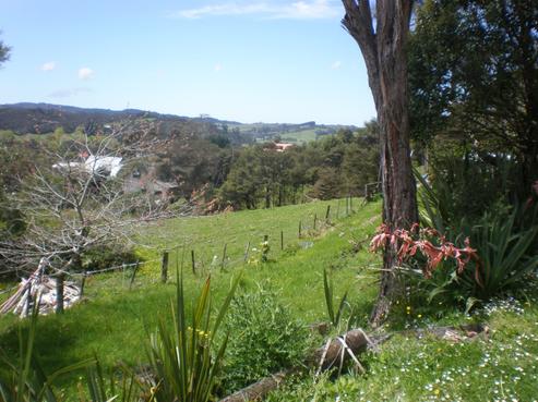 64 Pinchgut Road, Kaukapakapa