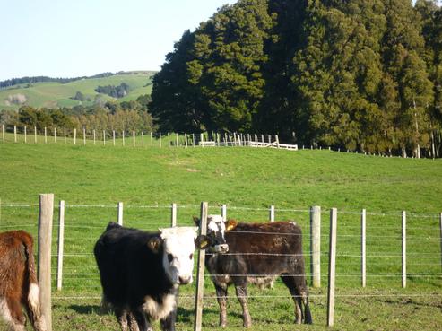 261 Valley Road, Kaiwaka