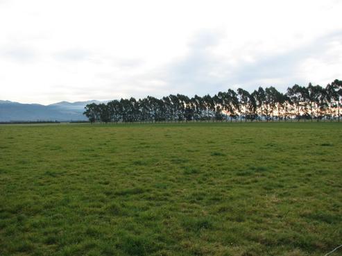 113 Bells Road, Makikihi