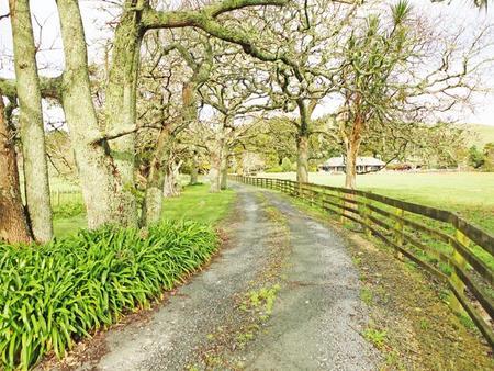 1006 Tauhoa Road, Kaipara Flats