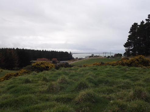 12 Coronation Street, Moeraki