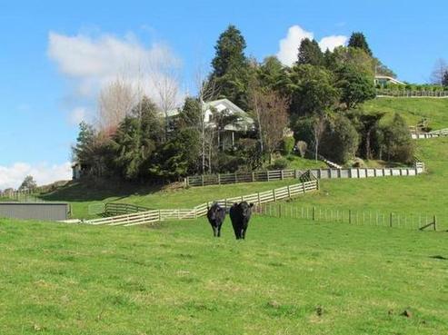 1043 Ohauiti Road, Ohauiti