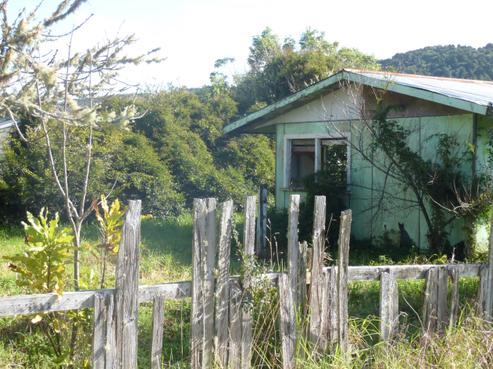 175 Otiria Road, Moerewa