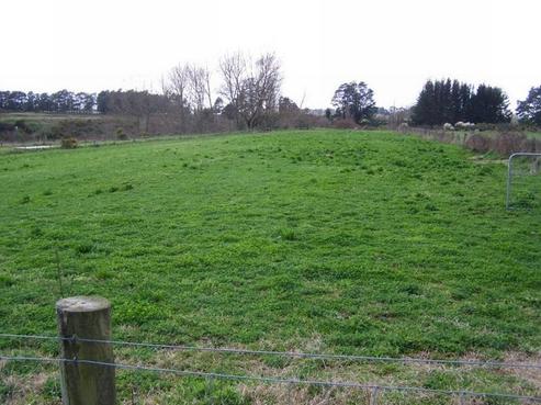 95 Webster Road, Matangi