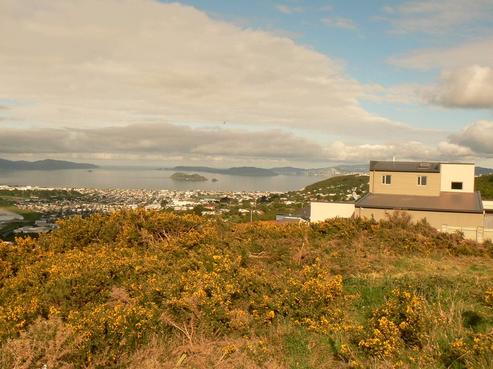26 Arahiwi Grove, Tirohanga