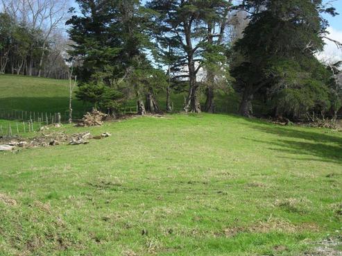 449 Bickerstaffe Road, Maungaturoto