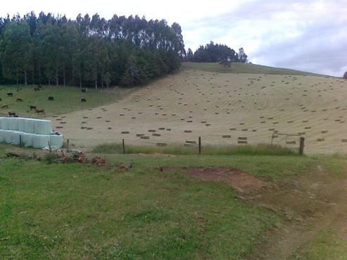 349 Limeworks Loop Road, Te Pahu