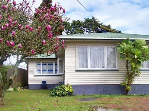 92 Swanson Road, Henderson