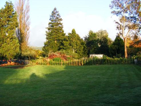 412 Mcclure Street, Pirongia