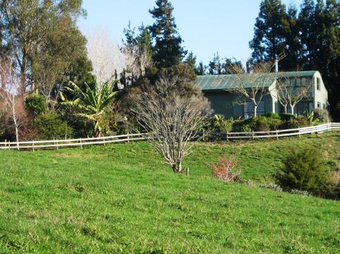 183 Punga Punga Road, Pukekawa