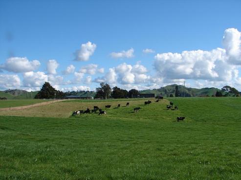 1663 State Highway 4, Owhango