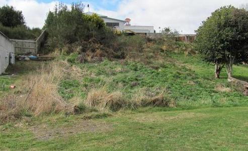 21 Foyle Street, Ohakune