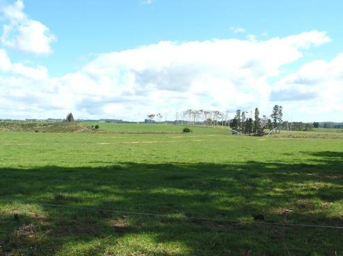 466 Wiroa Road, Kerikeri