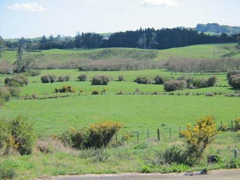 17 Hua Place, Tuakau