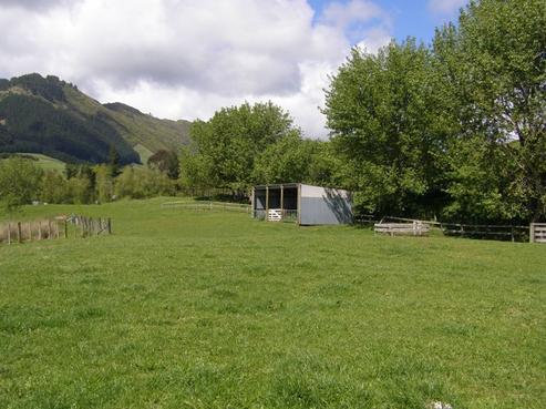 35 Gary Road, Peka Peka