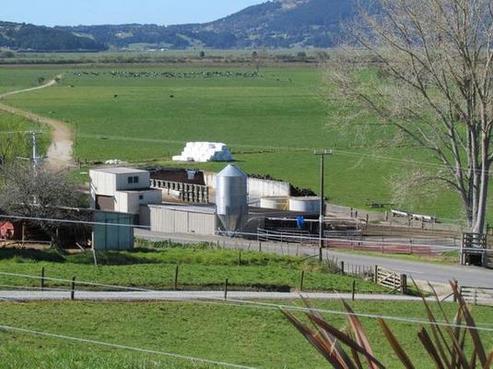 98 Heaton Road, Ruatangata