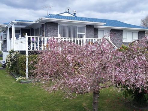19 Burton Place, Owhata