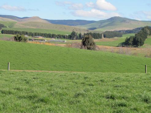 2579 Old Coach Road, Gore Surrounds
