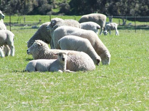 737 Glenmark Drive, Waipara
