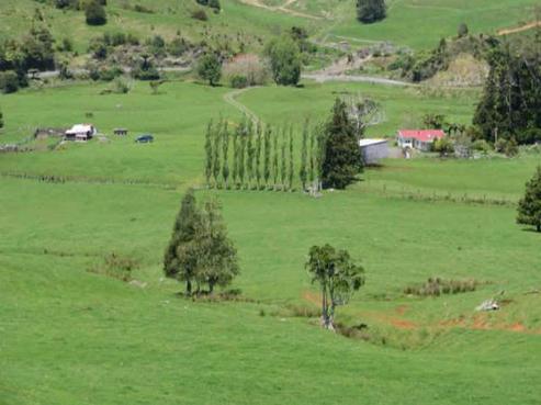 1479 Diggers Valley Road, Kaitaia