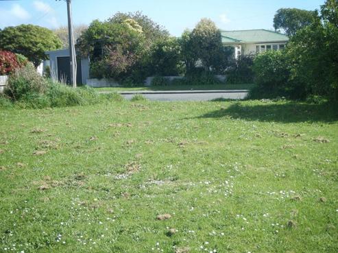 48 Kirk Street, Otaki