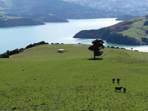 56 Stony Bay Road, Akaroa
