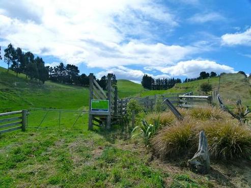 510 Domett Road, Cheviot