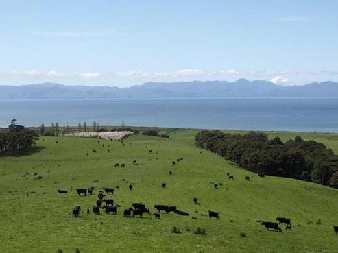 621 Orere-matingarahi Road, Orere Point