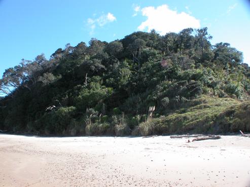 108 Te Maika Road, Tutukaka