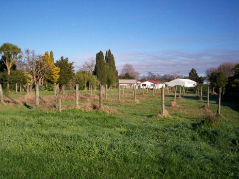 95 Napier Road, Havelock North