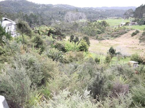 63 Christian Road, Swanson