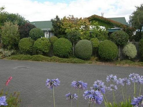 9A Astelia Way, Waipahihi