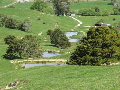 5135 Kaipara Coast Highway, Wellsford