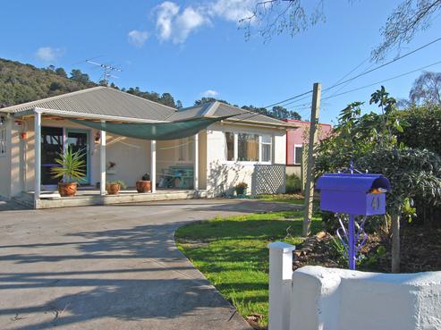 41 Wilford Street, Wallaceville