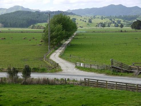 244 Tangowahine Settlement East Road, Dargaville Surrounds
