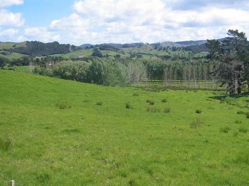 14 Upper Whangateau Road, Matakana