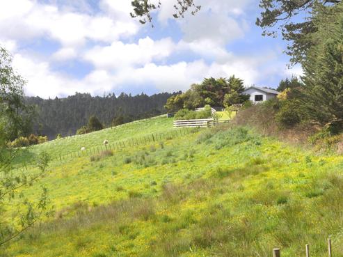 215 Tahekeroa Road, Makarau