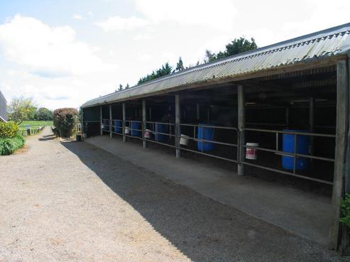 356 Gun Club Road, Pukekohe