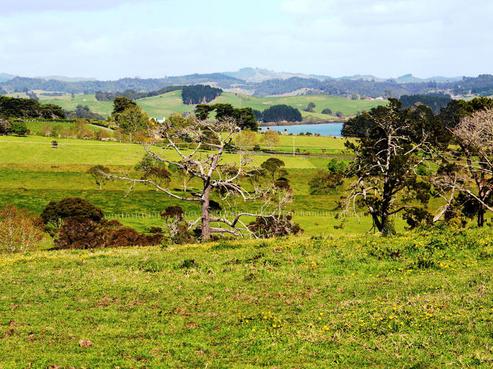 540 Mahurangi East Road, Algies Bay