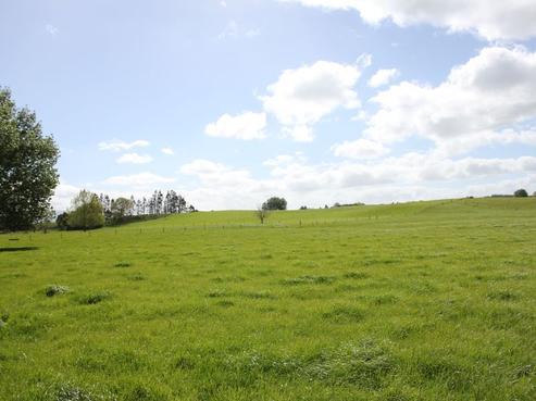 156 Pokuru Road, Te Awamutu