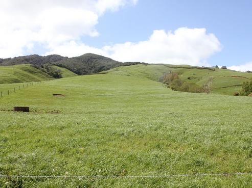 552 Kakepuku Road, Te Awamutu