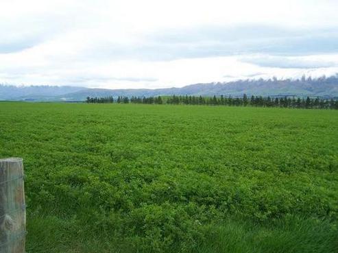 1570 Mchenrys Road, Hakataramea Valley