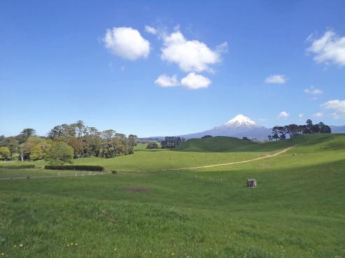 813 Mangorei Road, Mangorei