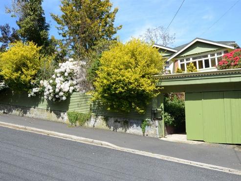 36 Montague Street, North East Valley